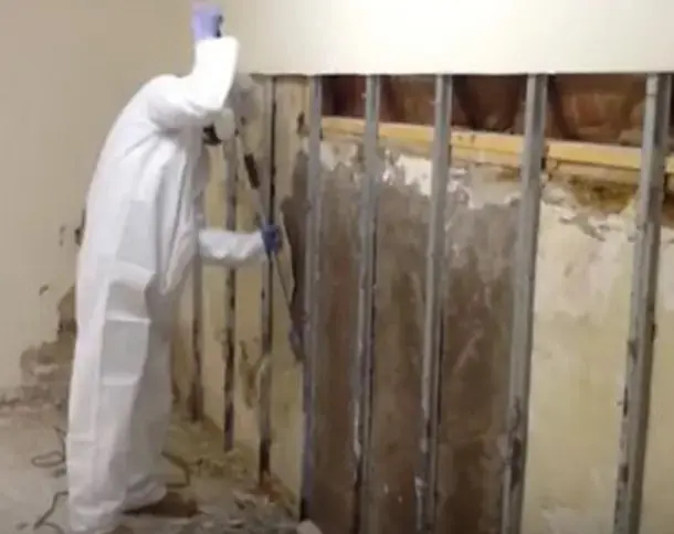 Butte-Montana-mold-removal