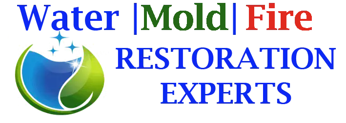 Mold Cleanup Mold Remediation